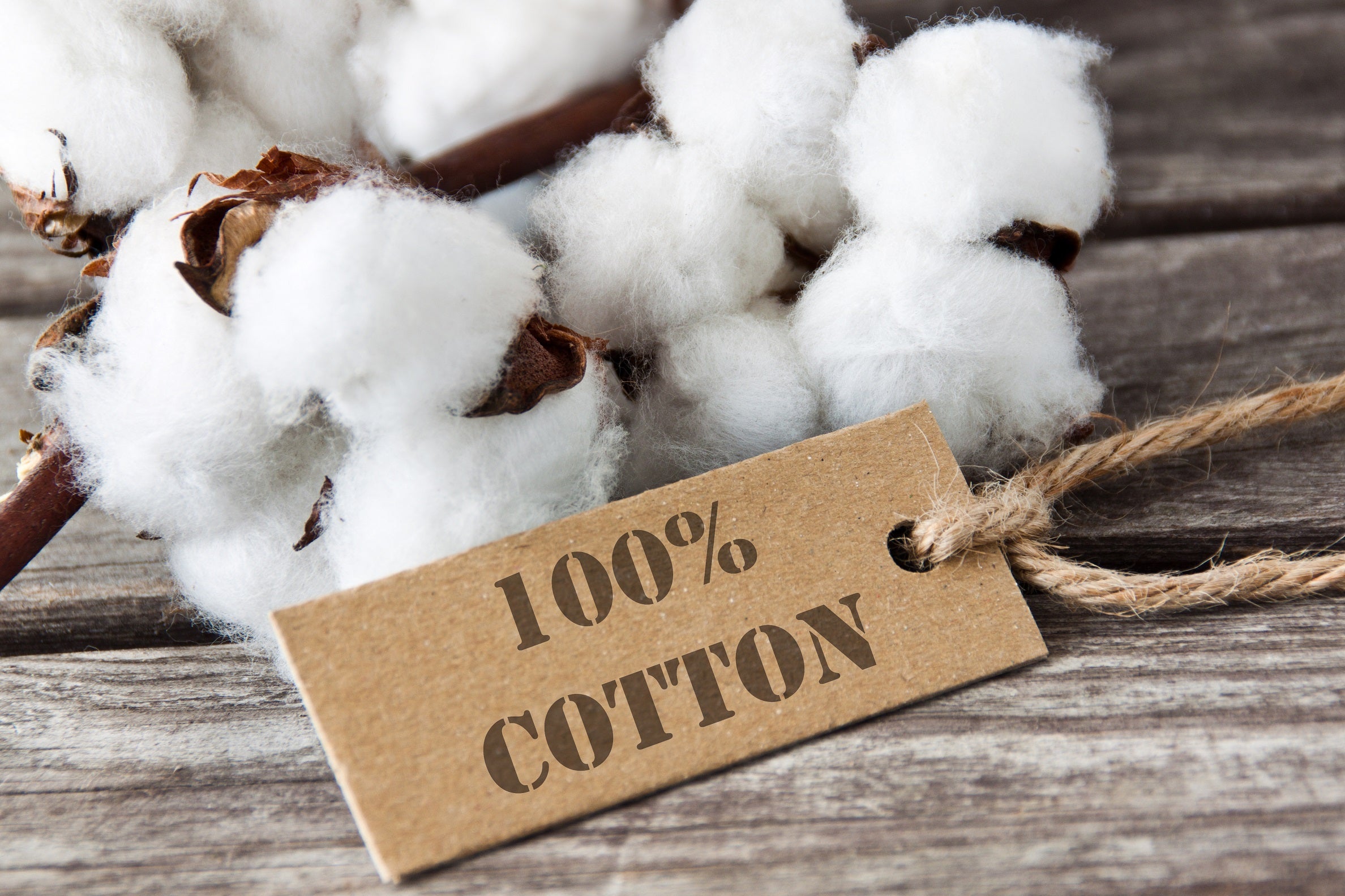 What Is 100 Giza Cotton